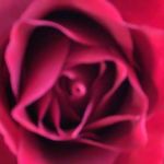 Profile Picture of Aleksandra Ciszewska (@ola_unicorn354) on Instagram