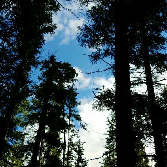 Profile Picture of Karen Larsen (@karjoa825) on Poshmark