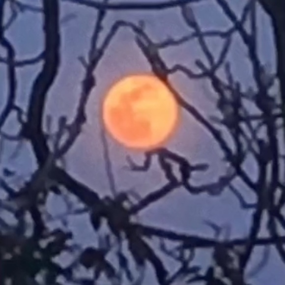 Profile Picture of Sean Durkovic (@seand56) on Poshmark