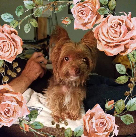 Profile Picture of Wendy dunlap Dunlap (@dunlapwendy64) on Poshmark