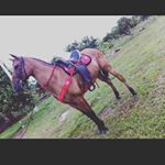 Profile Picture of Alex Olarte (@olartethomas) on Instagram