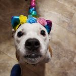 Profile Picture of Jimmie Dulin Ivie (@jimmieivie) on Instagram
