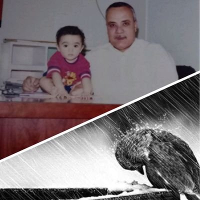 Profile Picture of Ahmed Shouman  ⚔️ 🇪🇬 (@AhmedShouman6) on Twitter