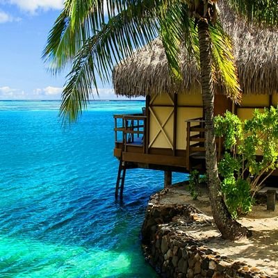 Profile Picture of Timothy Ruddy (@Timothyruddy1) on Twitter