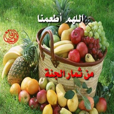 Profile Picture of Omar Haddadi (@omarhaddadi5) on Twitter