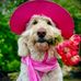 Profile Picture of Lori Rahn (@lori.rahn.5) on Facebook