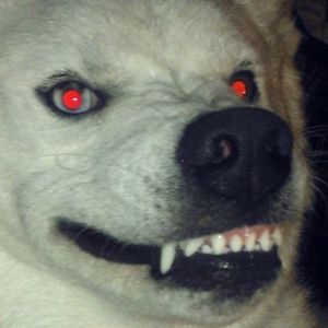 Profile Picture of Cflo (@djcflo) on Myspace