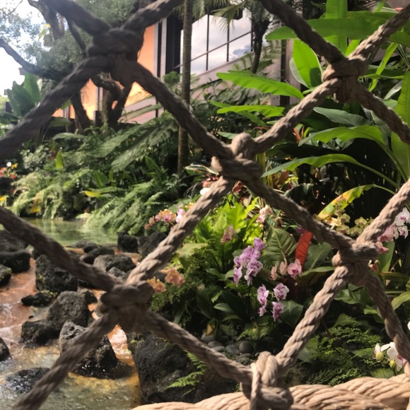 Audreyann Bleau-brousseau - Poshmark Profile Picture of Audreyann Bleau-brousseau (@audreyannbb) on Poshmark