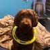 Profile Picture of Tyler Bartley (@tyler.bartley.104) on Facebook