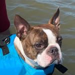Profile Picture of Jackson Daniel Saville (@frenchtonjack) on Instagram