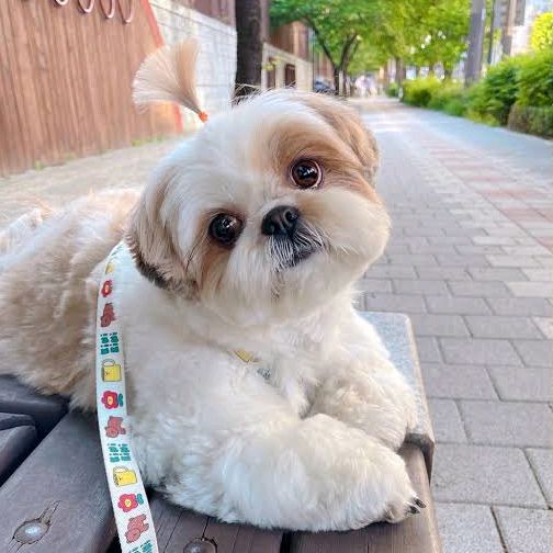 Profile Picture of Robert Evergreen (@roberteverygr) on Tiktok