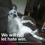 Profile Picture of James Hensley (@hensley4846) on Instagram