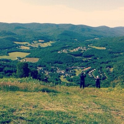Profile Picture of Anne-Marie Devaney (@MamaDevaney) on Twitter
