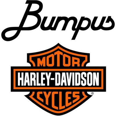 Profile Picture of Bumpus H-D (@BumpusHDJax) on Twitter