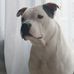 Profile Picture of Nicolas Gau (@nicolas.gau.50) on Facebook