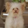 Profile Picture of Alivia Hendricks (@@aliviahen) on Tiktok