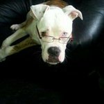 Profile Picture of Robert Peeters (@peetersrobert) on Instagram