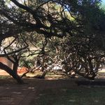 Profile Picture of Nicholas Theisen (@nicholastheisen) on Instagram