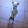 Profile Picture of Katelynn Denton (@@user2943551091907) on Tiktok