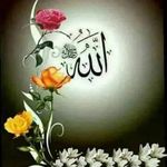 Profile Picture of Petrit Bulica (@petritbulica3) on Instagram