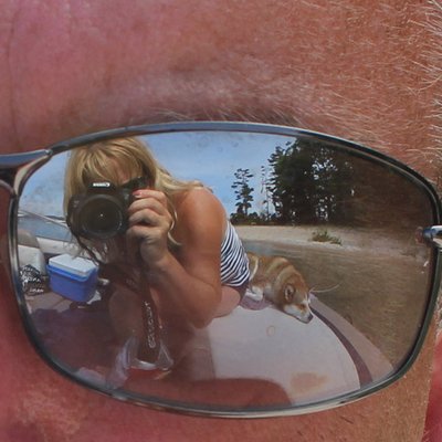 Profile Picture of Nancy Hodges (@tcbound) on Twitter