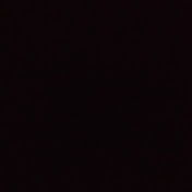 Profile Picture of Naama (@naama7337) on Youtube