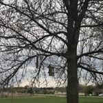 Profile Picture of Carly Ackerman (@ackerman_carly) on Instagram