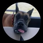 Profile Picture of Seth Corbicz (@Seth-Corbicz) on Facebook