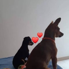 Profile Picture of yoliber (@yolandabermeo5) on Tiktok