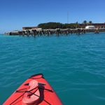 Profile Picture of Obie Ramsay (@obieislandgirl) on Instagram