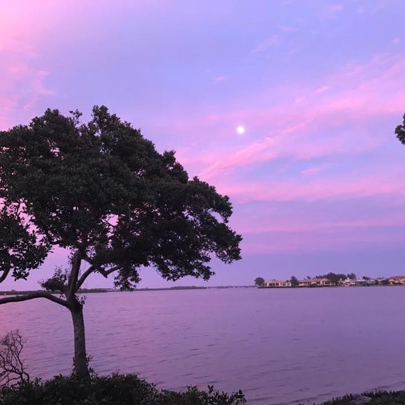 Profile Picture of Linda Collica (@lindacollica) on Poshmark