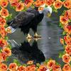 Profile Picture of Jeremiah Suggs (@@jeremiahsuggs54) on Tiktok