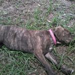 kaelin kearah martin - Instagram Profile Picture of kaelin kearah martin (@kaelinkearahmartin) on Instagram