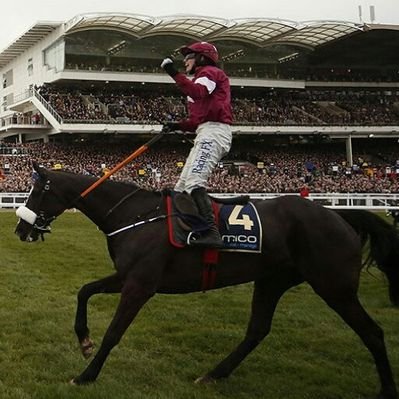 Profile Picture of @ross_gilbert81 (@ross_gilbert81) on Twitter