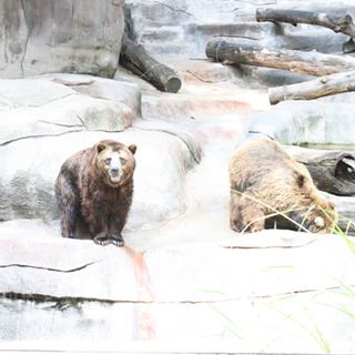 Kylee Bronson - Facebook Profile Picture of Kylee Bronson (@kylee.bronson.9) on Facebook