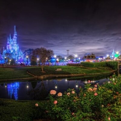 Profile Picture of Cindy Moeller (@cindy1098) on Twitter