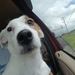 Profile Picture of James Schwenk (@frftr) on Pinterest