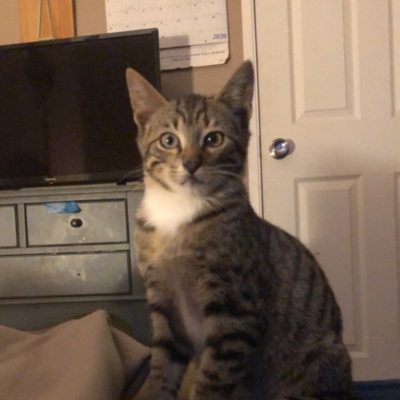 Profile Picture of Taylor Obarr (@broomstick62) on Poshmark