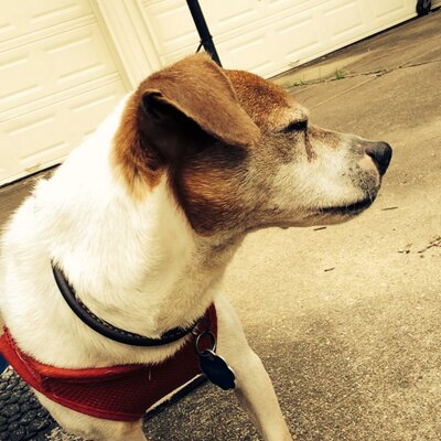 Profile Picture of Kevin Kovacs (@kovacs_kev17) on Twitter