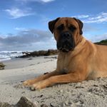 Profile Picture of Ruby Welch (@ruby_welch) on Instagram
