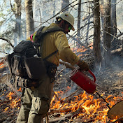 Profile Picture of Jayson Mcdonald (@jaysonmcdonald7660) on Youtube