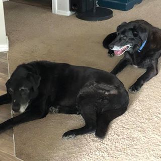 Jason N Jeanette Naillon - Facebook Profile Picture of Jason N Jeanette Naillon (@jasonnjeanette.naillon) on Facebook