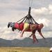 Profile Picture of Chuck Combs (@combsinaztec) on Pinterest