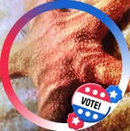 Profile Picture of Robert Drennan (@Robert-Drennan) on Facebook