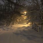 Profile Picture of Gary Lanteri (@garylanteri) on Instagram