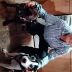 Tony Homer - Facebook Profile Picture of Tony Homer (@Tony-Homer) on Facebook