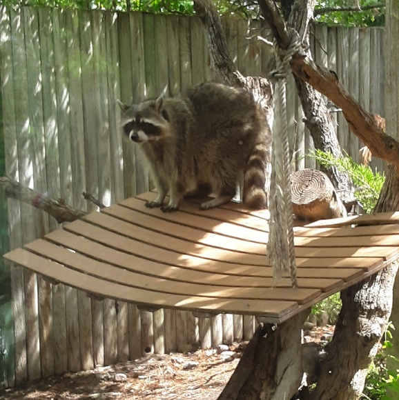 Profile Picture of Mattie Taylor (@mouse727) on Poshmark