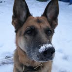 Profile Picture of Zigma Knappe Clausen (@zigma.knappeclausen) on Facebook