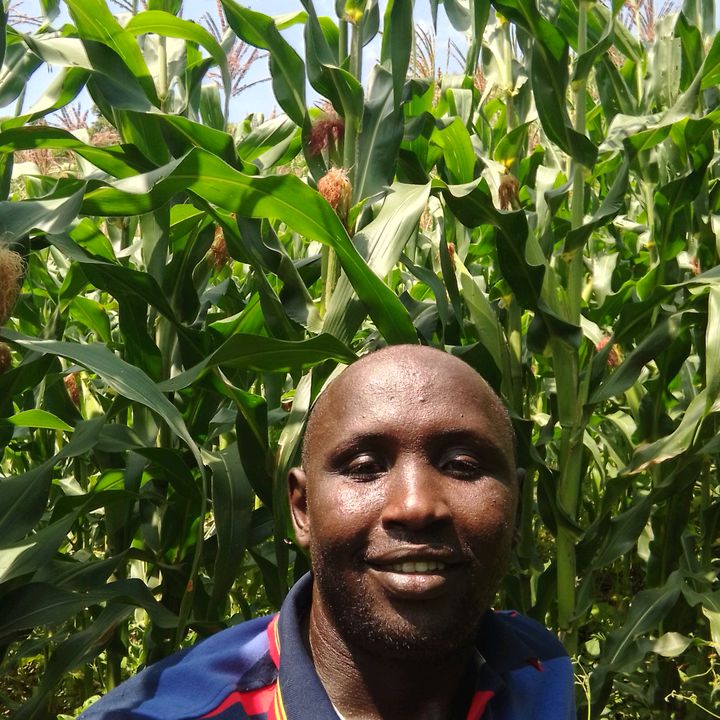 Profile Picture of Robert masese (@user7531977570950) on Tiktok