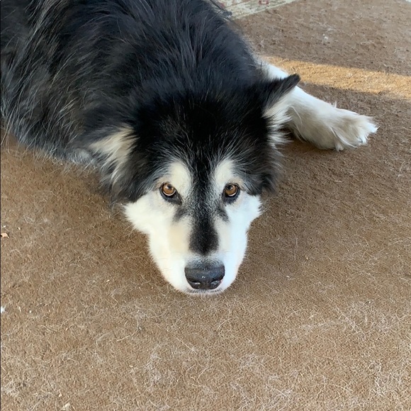 Profile Picture of Kelly Brozyna (@k_brozyna) on Poshmark